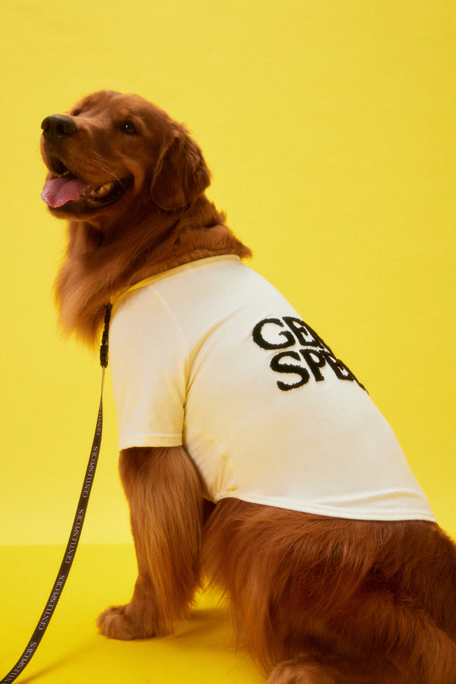 Large Gentle Species Fluffy T-Shirt