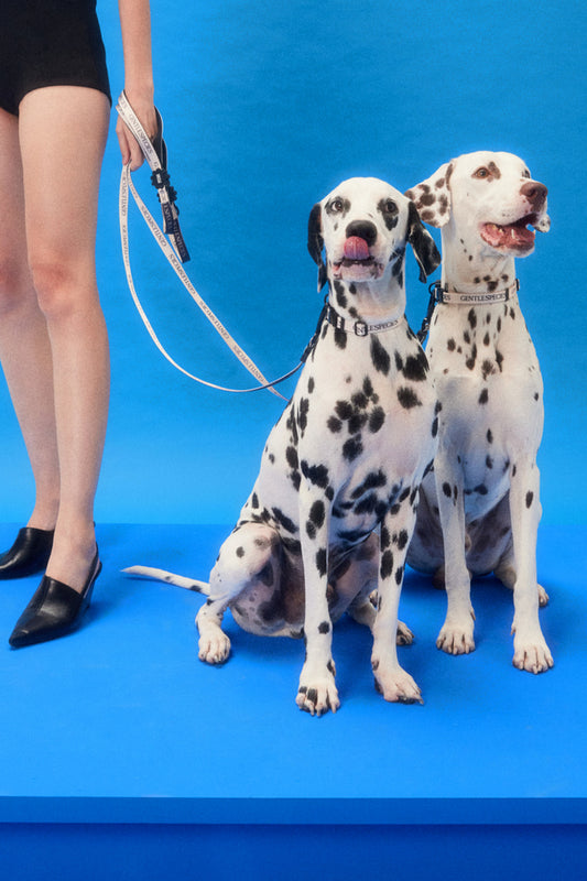 Standard Gentle Species Walk Me Set
