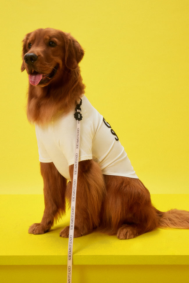 Large Gentle Species Fluffy T-Shirt