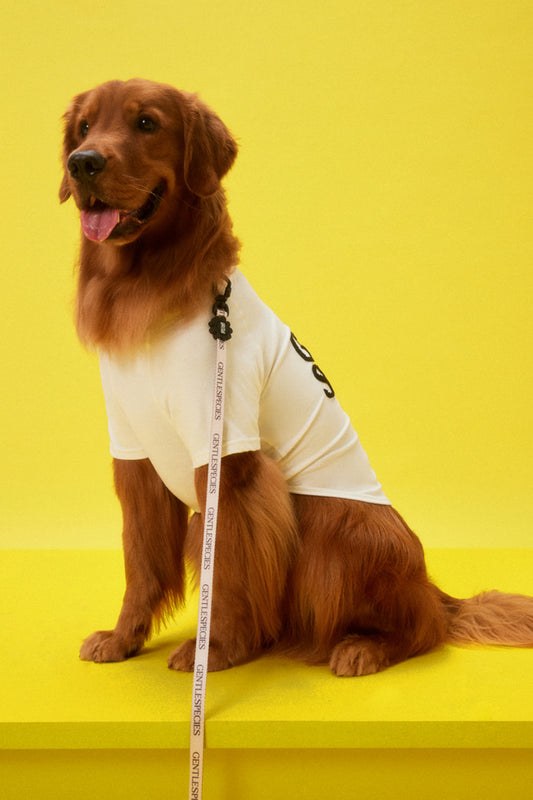 Large Gentle Species Fluffy T-Shirt